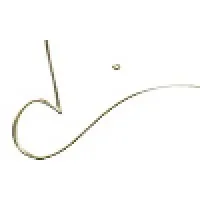 Davina Douthard, Inc.