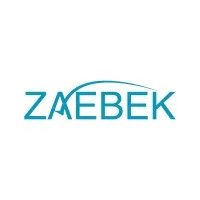 ZAEBEK Consultancy Services (ZCS)
