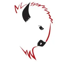 Buffalo's Mechanical Inc.