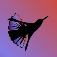 Hummingbird Black Creative