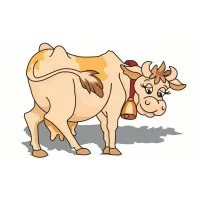 Mr. Dairy and Food Distibuting Ltd.