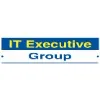 IT Executive