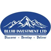 BLUHI INVESTMENT LIMITED