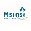 Msinsi Holdings SOC Msinsi Holdings SOC