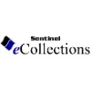 Sentinel Development Solutions Sentinel Development Solutions