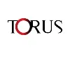 Torus Transforms