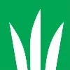 DLF