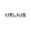 Melius - The Consulting and Analytics Club