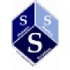 Strategic Staffing Solutions, LLC.