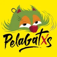 PelaGatos PelaGatos
