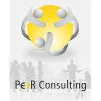 Peer Consulting India Pvt Ltd