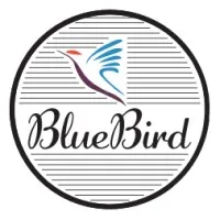 BlueBird Converting LLC
