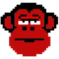 Redmonkey - Custom software development