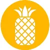 Pineapple Consulting Firm Pineapple Consulting Firm