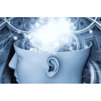 Craniofacial Growth and Development 