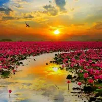 AB Retail Brand Consultant