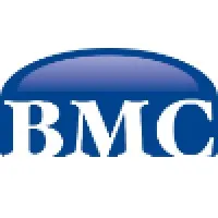 Basulto Management Consulting, Inc.