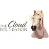 Cloud Foundation