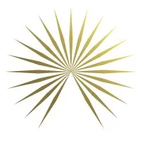 ARTERIORS Home