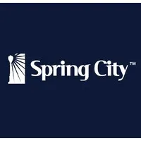 Spring City Electrical