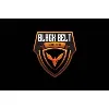 Black Belt Security Group Black Belt Security Group