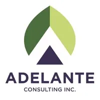 Adelante Consulting, Inc.
