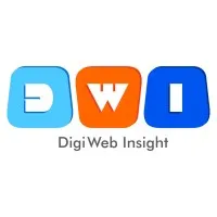 DigiWeb Insight LLC DigiWeb Insight LLC