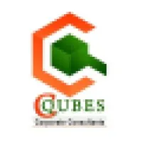 CQUBES CORPORATE CONSULTANTS