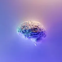 Headquarters Headquarters