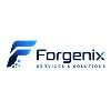 Forgenix Services And Solutions Forgenix Services And Solutions
