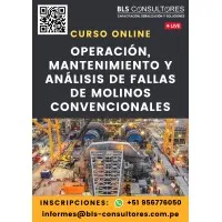 BLS CONSULTORES