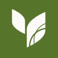 Evergreen Digital Marketing Evergreen Digital Marketing