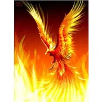 Metamorphosis Consulting New Delhi, India