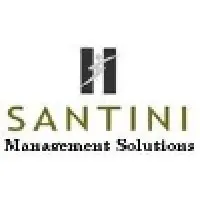 Santini Management Solutions