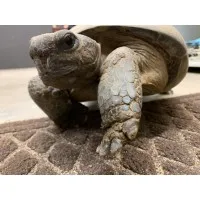 EMERALD COAST WILDLIFE REFUGE INC