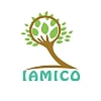 IAMICO Analysis Pvt Ltd