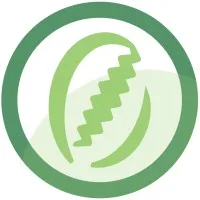 Lekan Network Lekan Network