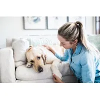 Peaceful Waters Aquamation