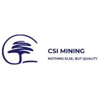 CSI Consolidated Holdings