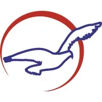 Air Peace Limited Air Peace Limited