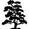 Patterson Nursery Sales, Inc. Patterson Nursery Sales, Inc.