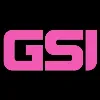 Geisel Software, Inc.