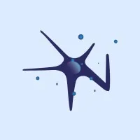 NeuroCog®