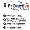 Proactive Driving School & Traffic Safety Consulting Proactive Driving School & Traffic Safety Consulting