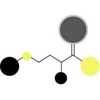 Polimerase Jr