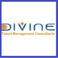 Divine-Consulting