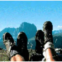 Walkabout Gourmet Adventures