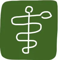 Digital Health Advisors Digital Health Advisors