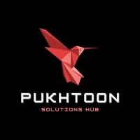 PUKHTOON SOLUTIONS HUB