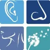 ENT and Allergy Specialists ENT and Allergy Specialists